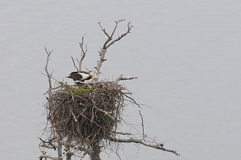 Всемирный день водно-болотных угодий отметили вчера в Камчатском крае 3