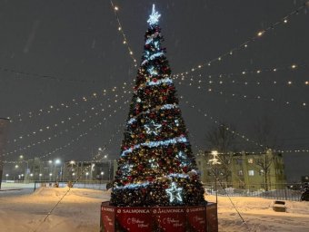 Более двадцати новогодних елок открыли в разных микрорайонах Петропавловска-Камчатского 0