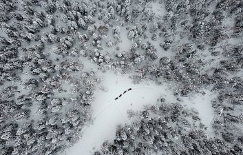 Зимний туристический сезон открыл Кроноцкий заповедник на Камчатке 5