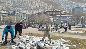 Общегородской субботник пройдет в преддверии Дня Победы в Петропавловске-Камчатском
