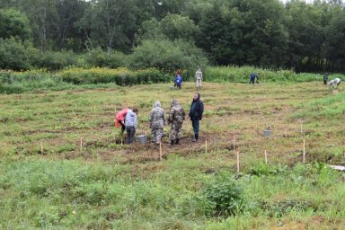 Экологическая акция «Сохраним лес» запущена на Камчатке 14
