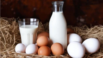 Отлично потрудились за прошедшую неделю сельхозпредприятия Елизовского района на Камчатке