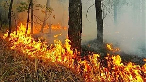 На Камчатке в нескольких районах сохраняются высокие классы пожарной опасности