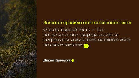 На форуме &laquo;Экосистема. Заповедный край&raquo; презентовали проект &laquo;Дикая Камчатка&raquo; 6