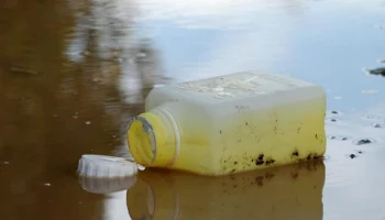 Сброс канализационных стоков в бухту Крашенинникова снял житель Вилючинска на Камчатке