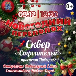 Открытие новогодних ёлок стартует с 1 декабря в Петропавловске-Камчатском 3