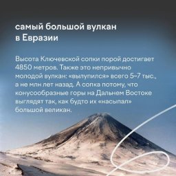 К участию в олимпиаде «Ближе к Дальнему» приглашают школьников Камчатки 5