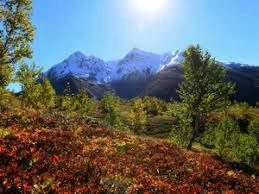 Доступ на 11 популярных туристических маршрутов ограничен и требует согласования на Камчатке