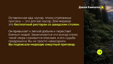 На форуме &laquo;Экосистема. Заповедный край&raquo; презентовали проект &laquo;Дикая Камчатка&raquo; 3