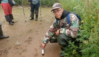 Следы волчьих лап обнаружены в Южно-Камчатском заказнике на Камчатке