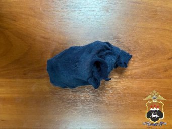 37-летнего жителя Приморского края задержали за попытку распространения запрещенных веществ на Камчатке 1