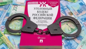 В Петропавловске-Камчатском полицейские задержали подозреваемую в краже крупной суммы денег