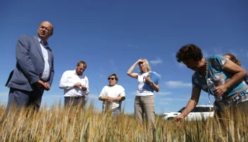 Парламентарии Камчатки обсудили меры поддержки сельского хозяйства с мильковскими аграриями