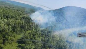 Три лесных пожара зарегистрированы на Камчатке