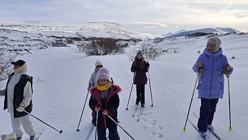 Уникальный определитель следов диких животных готовят юннаты на Камчатке 1