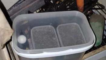 На хранении вещества природного происхождения в крупном размере попался житель Ключей на Камчатке На хранении вещества природного происхождения в крупном размере попался житель Ключей на Камчатке