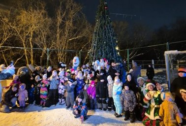 Первую новогоднюю ёлку открыли в микрорайоне Авача в столице Камчатки 0