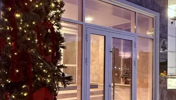 Предприниматели украсили к Новому году Петропавловск-Камчатский