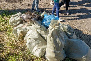 Волонтеры очистили берег бухты Сероглазка на Камчатке 1