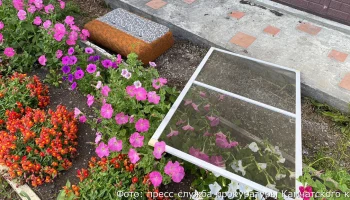 На Камчатке выпавшая из окна девочка находится в тяжелом состоянии
