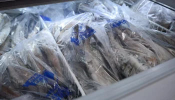 Качество рыбной продукции в магазинах Петропавловска проверили власти Камчатки