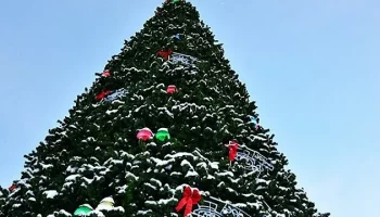 Открытие новогодней ёлки в сквере по улице Солнечной переносится в Петропавловске-Камчатском Открытие новогодней ёлки в сквере по улице Солнечной переносится в Петропавловске-Камчатском