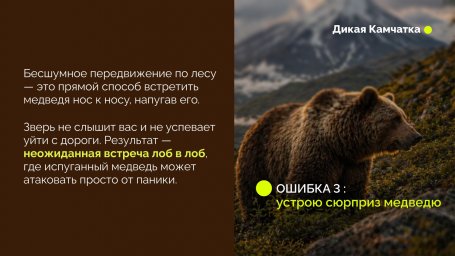 На форуме &laquo;Экосистема. Заповедный край&raquo; презентовали проект &laquo;Дикая Камчатка&raquo; 5