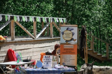 Более 3 000 человек посетили гастрономический фестиваль на Камчатке 10