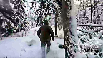 Охотника пока не нашли, медведя отправили гулять по радуге спасатели на Камчатке