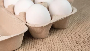 Директор птицефабрики пообещал, что подорожания яиц к Пасхе не будет на Камчатке