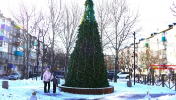 Новогодние ёлки начали устанавливать в Петропавловске-Камчатском Новогодние ёлки начали устанавливать в Петропавловске-Камчатском