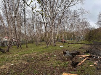 Начался первый этап благоустройства парка «Электрон» в столице Камчатки 2