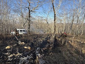 Сотрудники Кроноцкого заповедника помогли ликвидировать пожар в Елизово на Камчатке 0