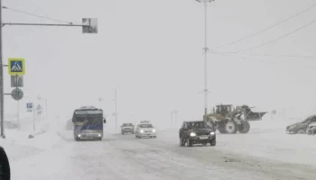 Школьник не бросил замерзающую женщину, которой стало плохо на улице в Петропавловске-Камчатском