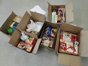 Вкусные подарки и сов из шишек отправили юннаты инспекторам Кроноцкого заповедника на Камчатке 0