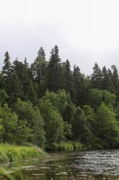 Ученые создадут карту экосистем Камчатского края 1