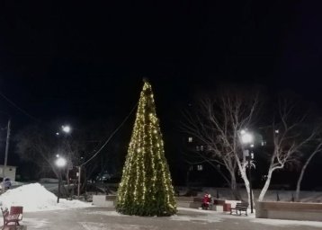 К новогодним праздникам украшают столицу Камчатки 2