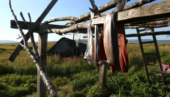 Представители коренных народов на Камчатке смогут создавать территории традиционного природопользования