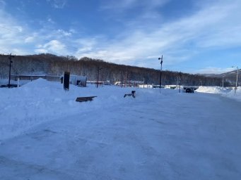 Вопросы по поводу парка &laquo;Простоквашино&raquo; в Елизове разъяснили в правительстве Камчатского края 0