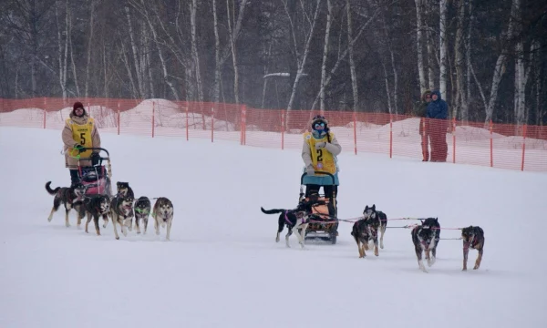 Гонка-пролог «Берингии» пройдет на лыжной базе «Лесная» в Петропавловске-Камчатском