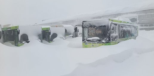 Ликвидируя последствия прошлых циклонов, готовится встречать новый удар стихии столица Камчатки 1