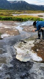 Обложку октябрьского выпуска престижного научного журнала mSystems украсило фото горячего источника с Камчатки 3 Обложку октябрьского выпуска престижного научного журнала mSystems украсило фото горячего источника с Камчатки 3