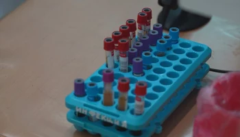 Чат-бот MAX для оперативного оповещения о готовности лабораторных исследований запустили на Камчатке