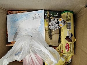 Вкусные подарки и сов из шишек отправили юннаты инспекторам Кроноцкого заповедника на Камчатке 4