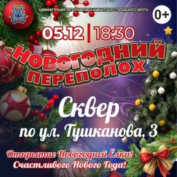 Открытие новогодних ёлок стартует с 1 декабря в Петропавловске-Камчатском 6