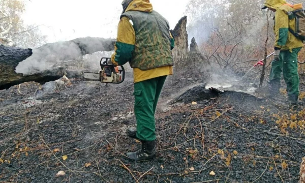 Готовность к пожароопасному сезону подтвердило Федеральное агентство лесного хозяйства Камчатского края