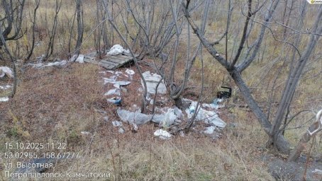 Незаконную свалку ликвидируют после вмешательства прокуратуры в Петропавловске-Камчатском 0