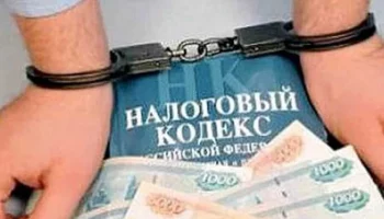 Уклонение от уплаты налогов на сумму свыше 13 миллионов рублей выявила полиция на Камчатке