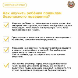 О слепых зонах транспорта как невидимых рисках для пешеходов рассказали в Госавтоинспекции Камчатки 3