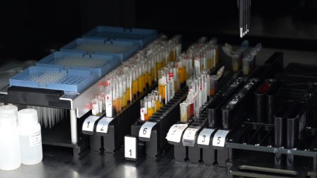 Восьмое место в России на рынке гослабораторий занимает лаборатория Центра СПИД на Камчатке 2